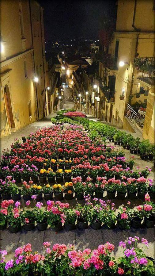 B&B Con Cucina La Ninfea Caltagirone Exterior photo